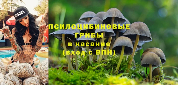 марки nbome Аркадак
