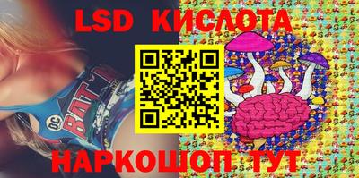 PSILOCYBIN Донской