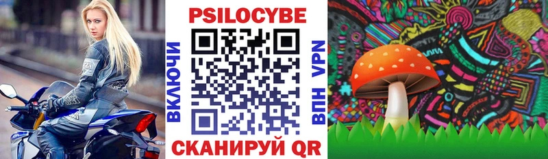 наркошоп  Мытищи  Псилоцибиновые грибы ЛСД 