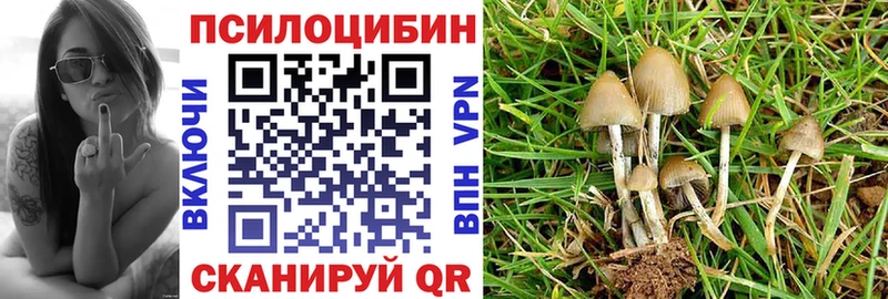 Псилоцибиновые грибы Cubensis Мытищи