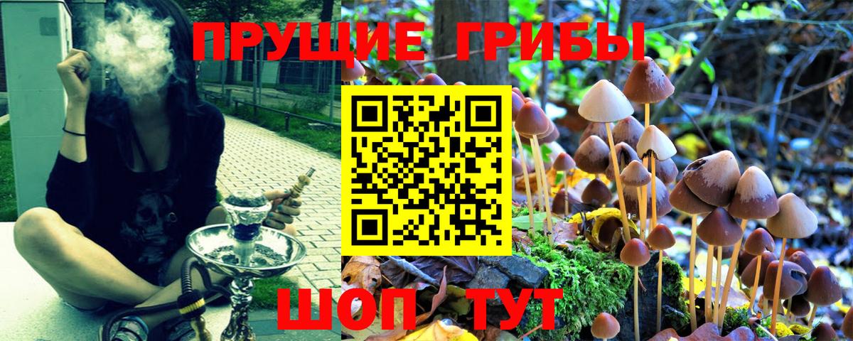 Галлюциногенные грибы ЛСД Мытищи