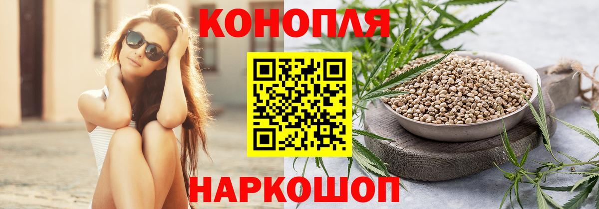 Бошки Шишки MAZAR Мытищи